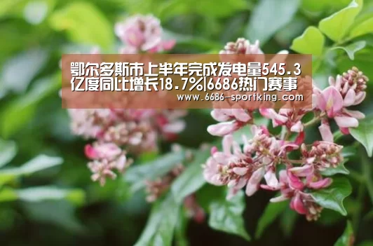鄂尔多斯市上半年完成发电量545.3亿度同比增长18.7%|6686热门赛事(图4) 6686真人娱乐
