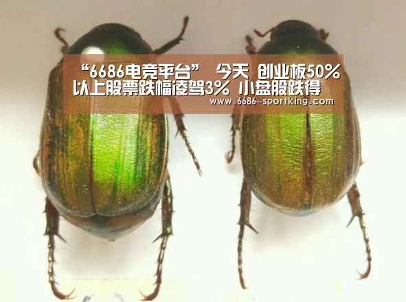 “6686电竞平台”
今天 创业板50%以上股票跌幅凌驾3% 小盘股跌得更狠(图2) 6686真人娱乐