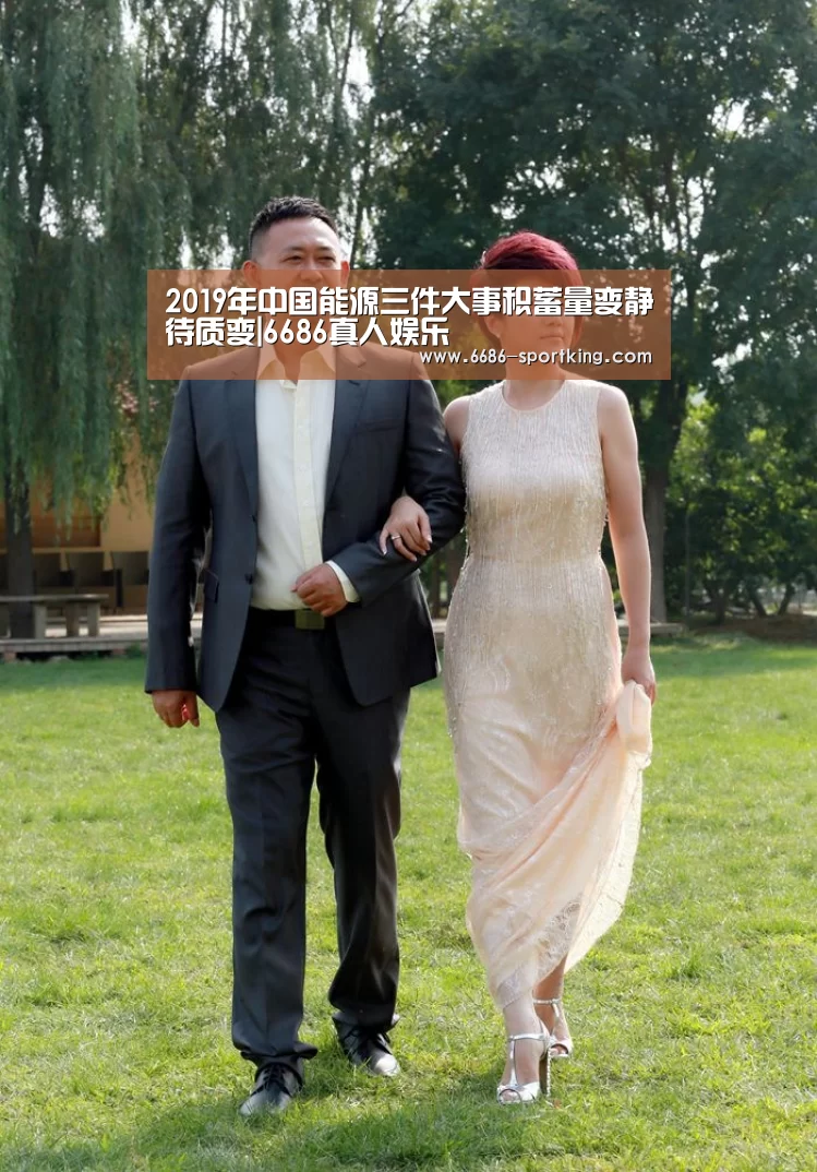 2019年中国能源三件大事积蓄量变静待质变|6686真人娱乐(图1) 6686电竞竞猜